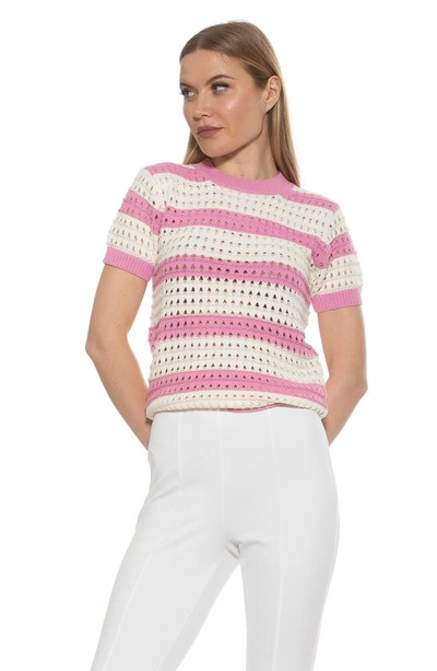 Shop Alexia Admor Chloe Stripe Short Sleeve Open Knit Top In Pink/ Ivory