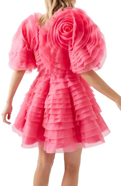 Shop Aje Amour Ruffle Cocktail Dress In Berry Pink