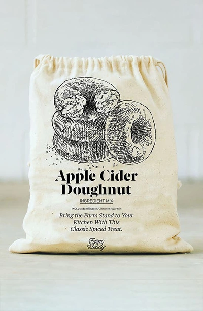 Brooklyn Brew Shop Apple Cider Doughnut Making Kit In Canvas