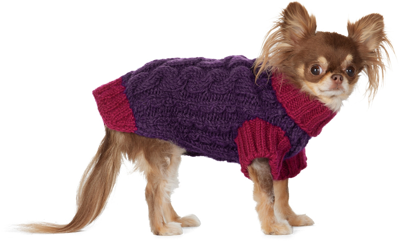Shop Lish Purple & Pink Small Wilmot Sweater