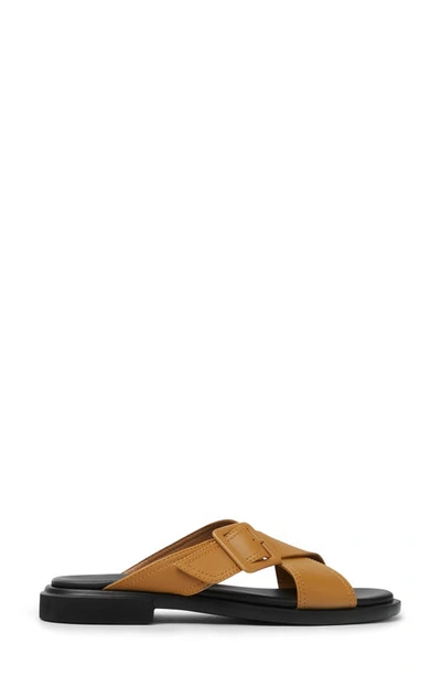 Shop Camper Edy Slide Sandal In Medium Brown