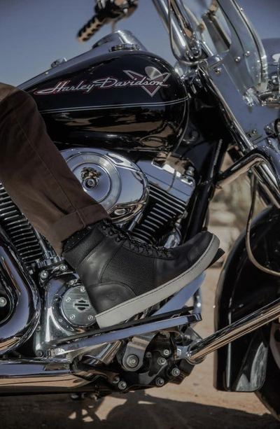 Shop Harley Davidson Dixson Zip Moto High Top Sneaker In Black