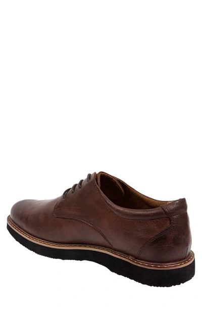 Deer Stags Walkmaster Plain Toe Derby In Brown