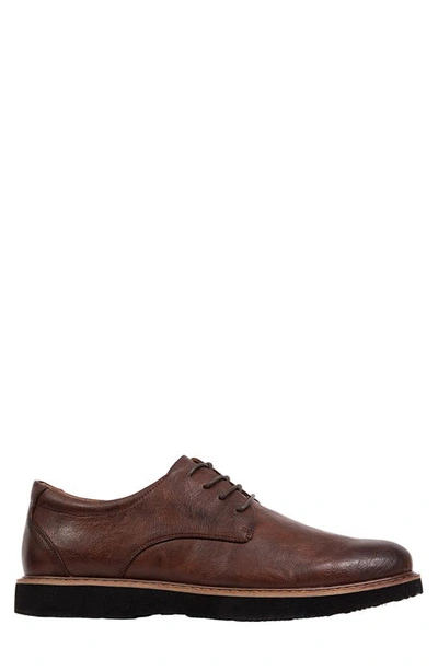 Deer Stags Walkmaster Plain Toe Derby In Brown