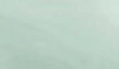 Southshore Fine Linens Southshore Essentials Double Brushed 100 Gsm Sheet Set In Hint Of Green