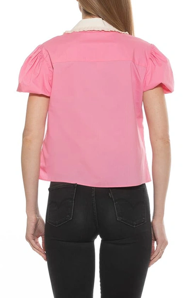 Shop Alexia Admor Sandra Short Sleeve Button-up Blouse In Pink