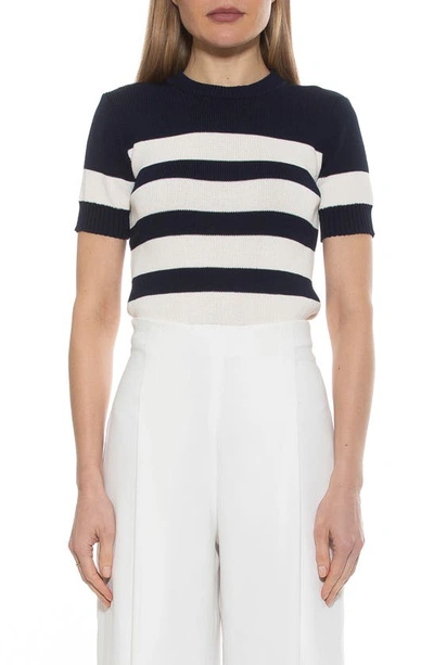 Shop Alexia Admor Pat Stripe Short Sleeve Sweater Top In Navy/ Ivory