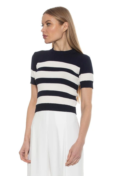 Alexia Admor Pat Stripe Short Sleeve Sweater Top In Black/ Ivory