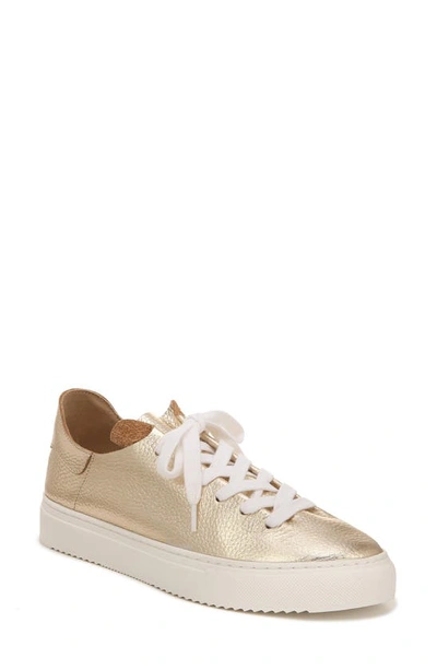 Shop Sam Edelman Poppy Sneaker In Gold