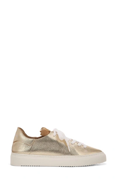 Sam Edelman Poppy Sneakers In Gold