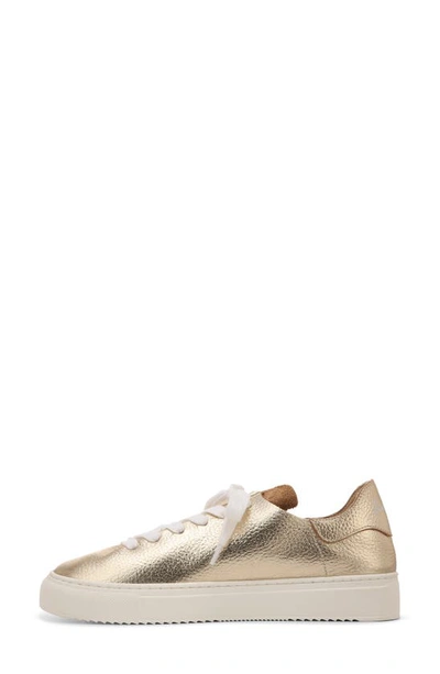 Sam Edelman Poppy Sneakers In Gold