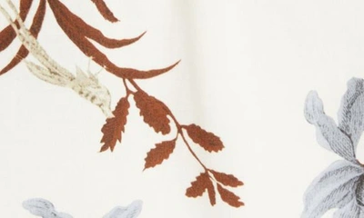Shop Erdem Alexine Tropical Floral Tiered Cotton Poplin Dress In Tropical Bloom White