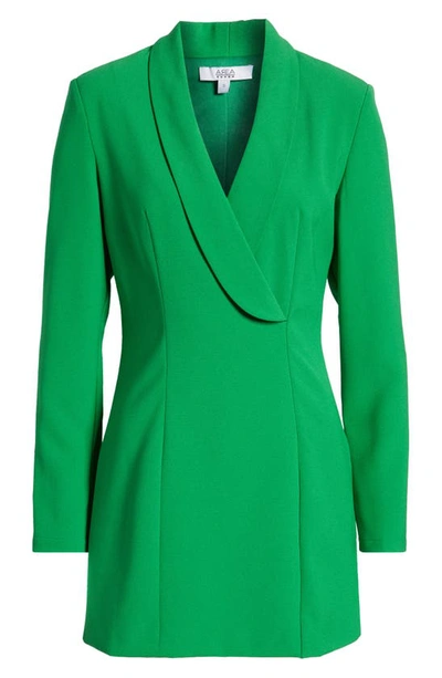 Shop Area Stars Shawl Collar Long Sleeve Coat Dress In Green