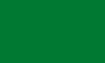 Shop Logo Brands Mexico National Team 54" X 84" Sweatshirt Blanket In Kelly Green