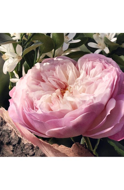 Chloé Rose Naturelle Eau De Parfum Refillable 100ml