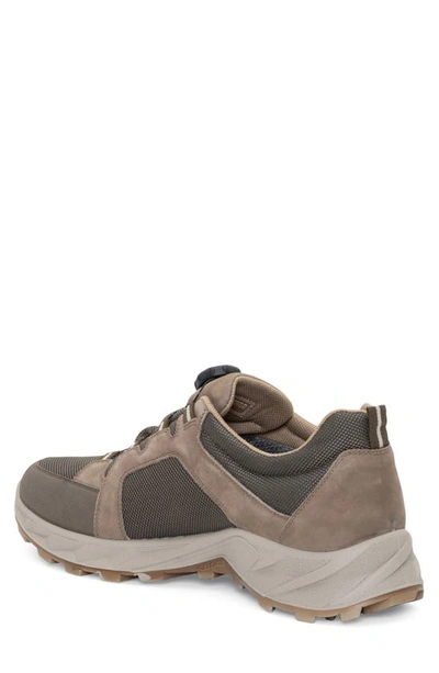 Shop Ara Satchel Waterproof Sneaker In Beige