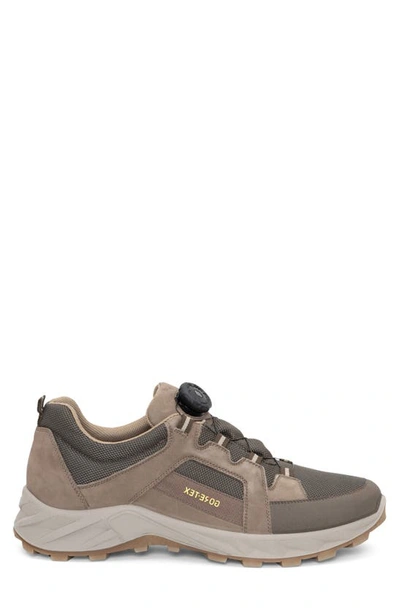 Shop Ara Satchel Waterproof Sneaker In Beige