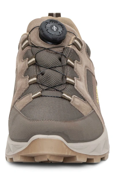 Shop Ara Satchel Waterproof Sneaker In Beige