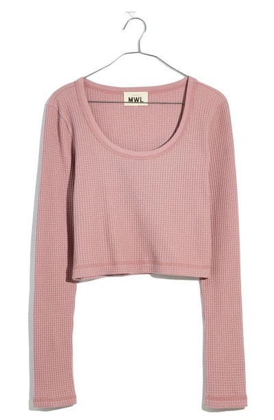 Shop Mwl Waffle Long Sleeve Crop Top In Pale Thistle