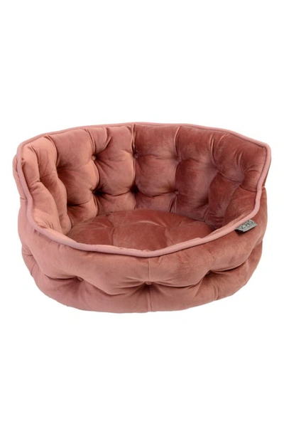 Shop Precious Tails Ultra Plush Tufted Pet Bed In Rose