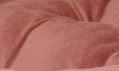 Shop Precious Tails Ultra Plush Tufted Pet Bed In Rose