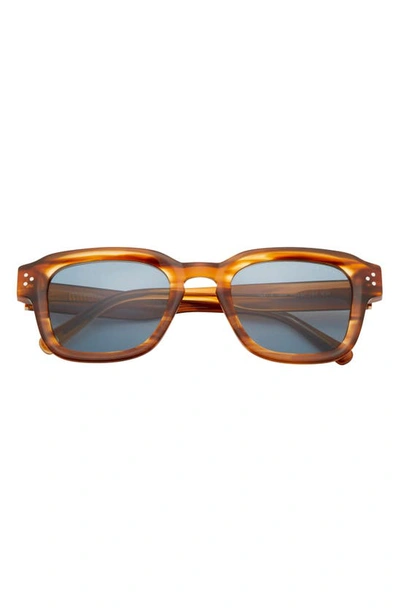 Shop Ted Baker Polarized Square Sunglasses In Horn