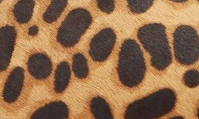 Shop Birdies Starling Flat In Cheetah Calf Hair