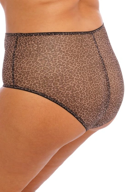 Elomi Matilda Full Figure Embellished Briefs In Leopard