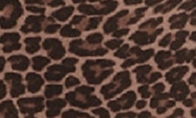 Elomi Matilda Full Figure Embellished Briefs In Leopard