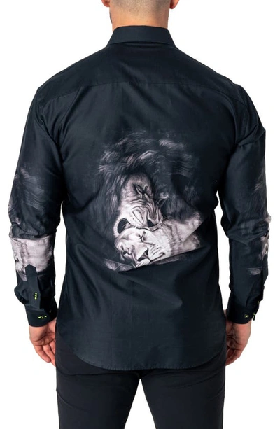 Shop Maceoo Fibonacci Love Lion Cotton Button-up Shirt In Black