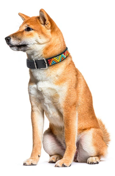 Shop Jabulani Beaded Leather Dog Collar In Pop Art