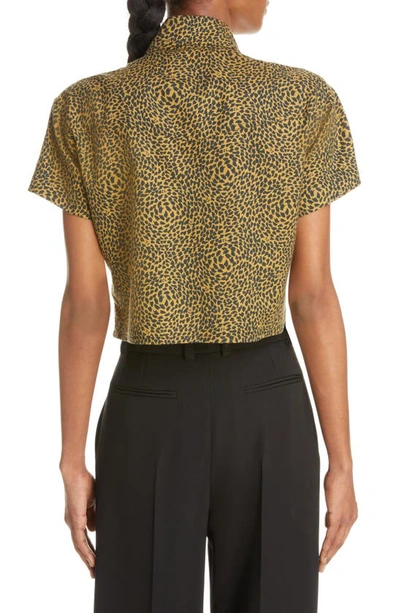 Saint Laurent Warped Leopard Print Short Sleeve Crop Snap-up Shirt In Black/ Camel