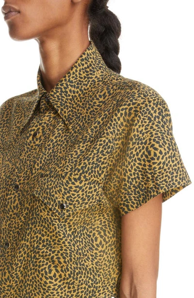 Shop Saint Laurent Warped Leopard Print Short Sleeve Crop Snap-up Shirt In Black/ Camel