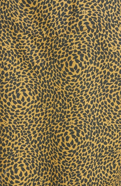 Saint Laurent Warped Leopard Print Short Sleeve Crop Snap-up Shirt In Black/ Camel
