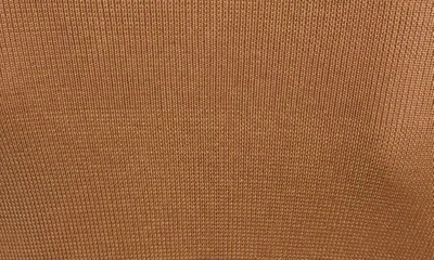 Shop Saint Laurent Long Sleeve Crop Top In Brown