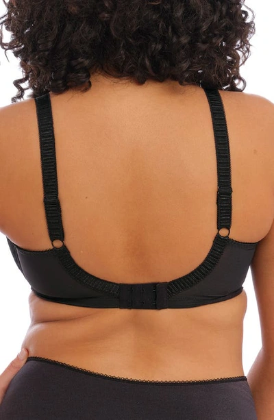 Elomi Cate Full Figure Underwire Lace Cup Bra El4030, Online Only In Black