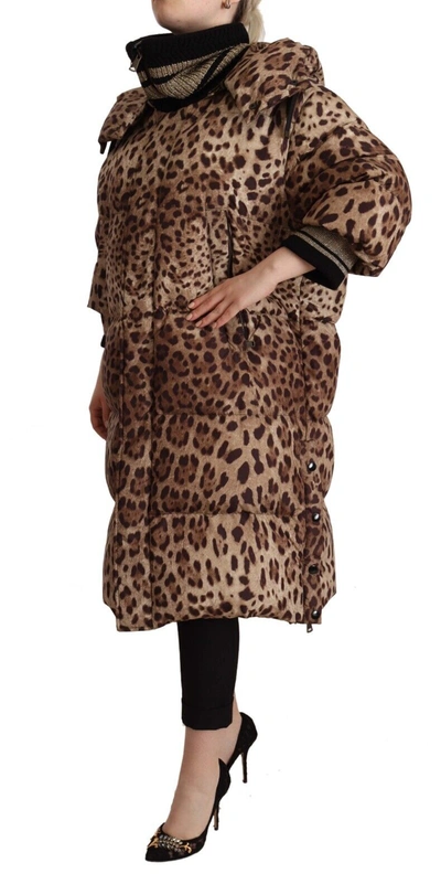Shop Dolce & Gabbana Elegant Leopard Print Long Women's Jacket In Brown