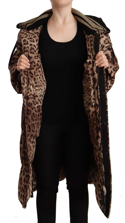 Shop Dolce & Gabbana Elegant Leopard Print Long Women's Jacket In Brown