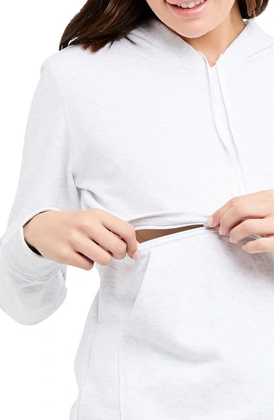Ripe Maternity Kitty Nursing Hoodie In Arctic