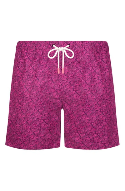 Shop Swims Onda Swim Trunks In Raspberry