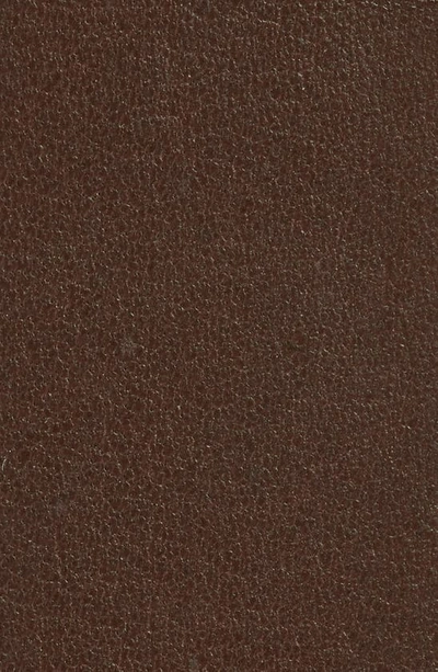 Shinola Leather Belt In Brown