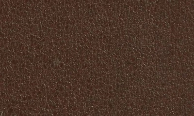 Shinola Leather Belt In Brown