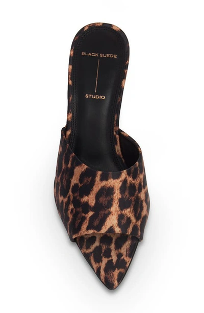 Shop Black Suede Studio Leona Pointed Toe Sandal In Leopard Satin