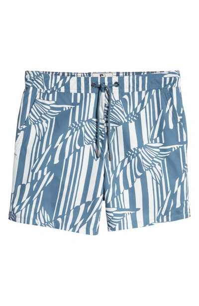Shop Ted Baker Butterfly Stripe Swim Trunks In Mid Blue