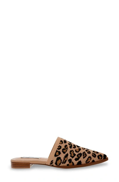 Shop Steven New York Valdez Knit Mule In Leopard