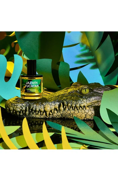 D.s. & Durga Women's Jazmin Yucatan Eau De Parfum