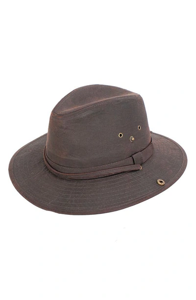 Shop Peter Grimm Aslan Oil Cloth Hat In Brown
