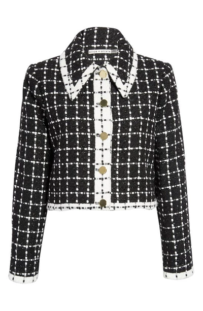 Shop Alice And Olivia Renae Point Collar Tweed Jacket In Black/ Off White