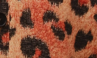 Allsaints Honor Leopard Print Jacket In Brown