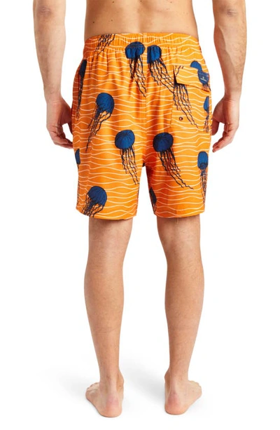 Rainforest So Jelly Swim Shorts In Sky Blue